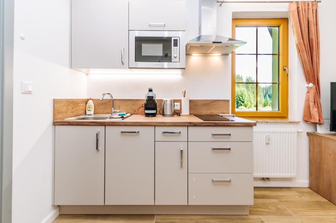 Apartment Hugo Blatna ฮอร์นีบลาทนา ภายนอก รูปภาพ